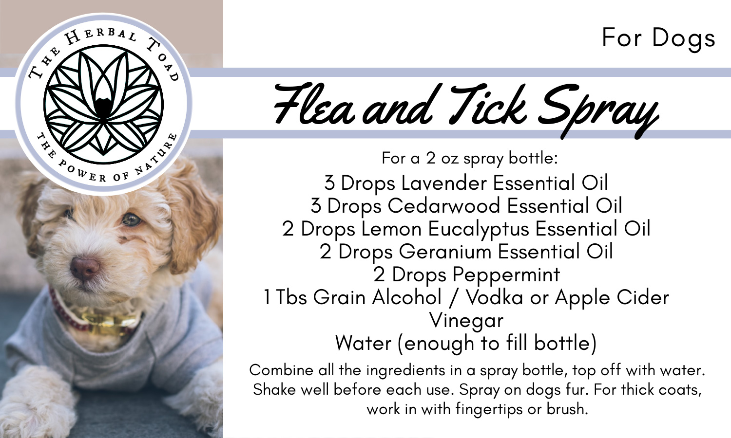 DIY Flea and Tick Spray Recipe - The 