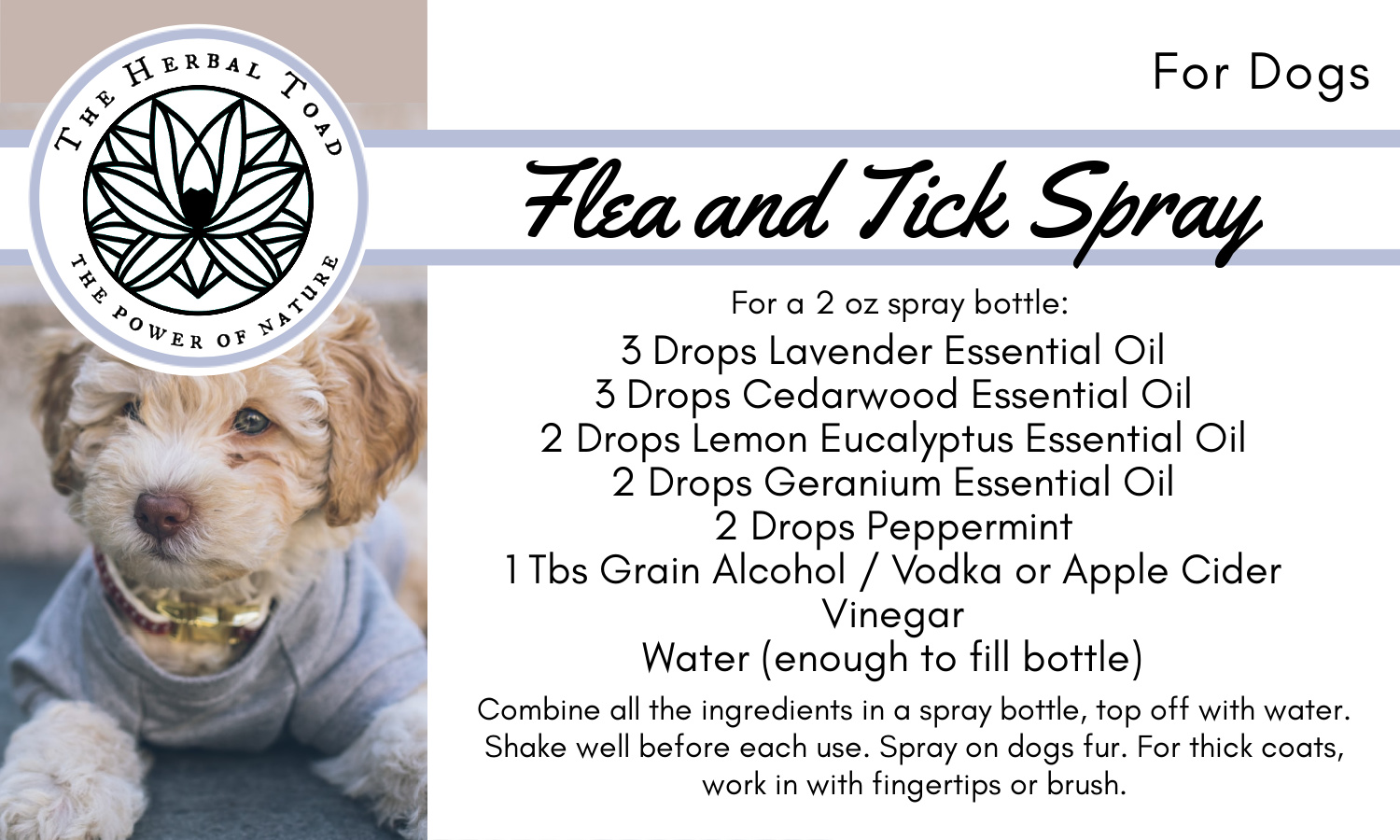 Diy Flea And Tick Spray Recipe The Herbal Toad