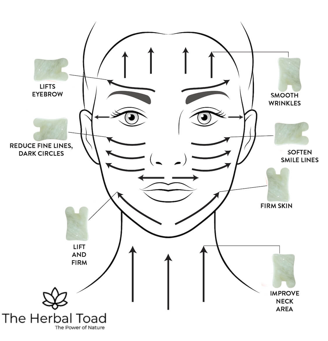 Facial Techniques Chart