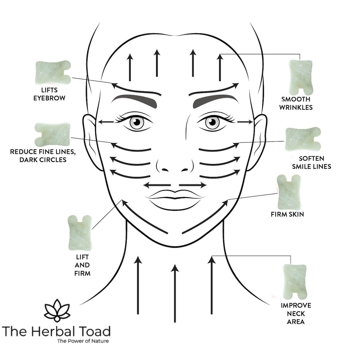 Benefits and Technique for Gua Sha Facial The Herbal Toad