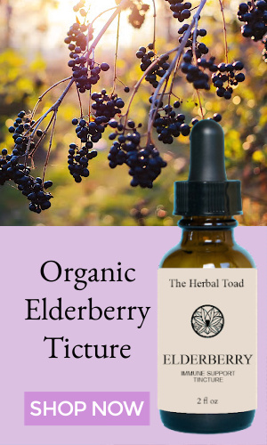 Organic Elderberry Tincture